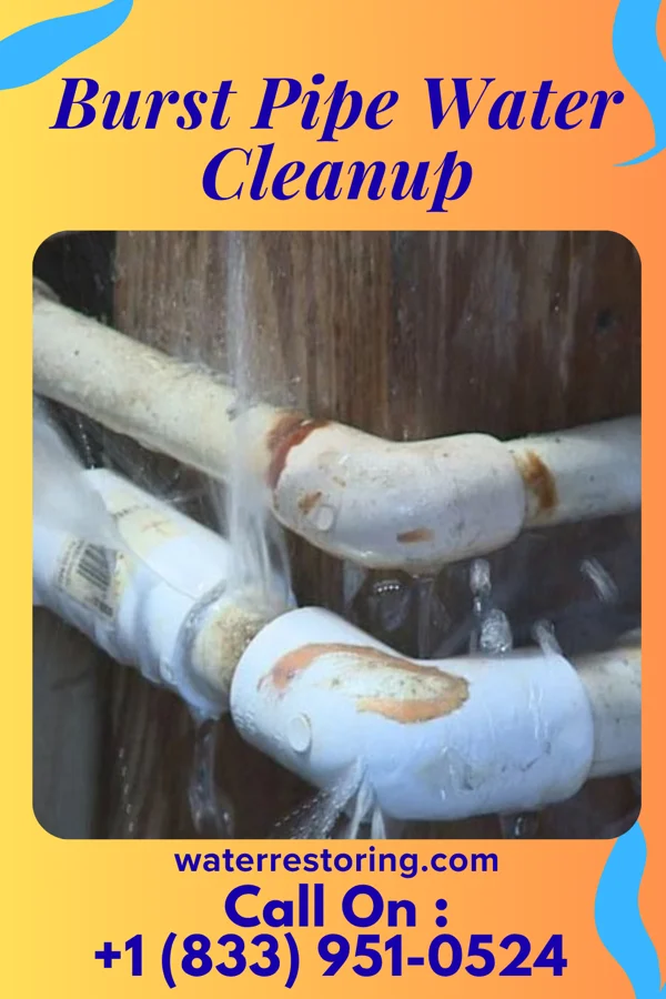 Burst Pipe Water Cleanup in Sundance, UT