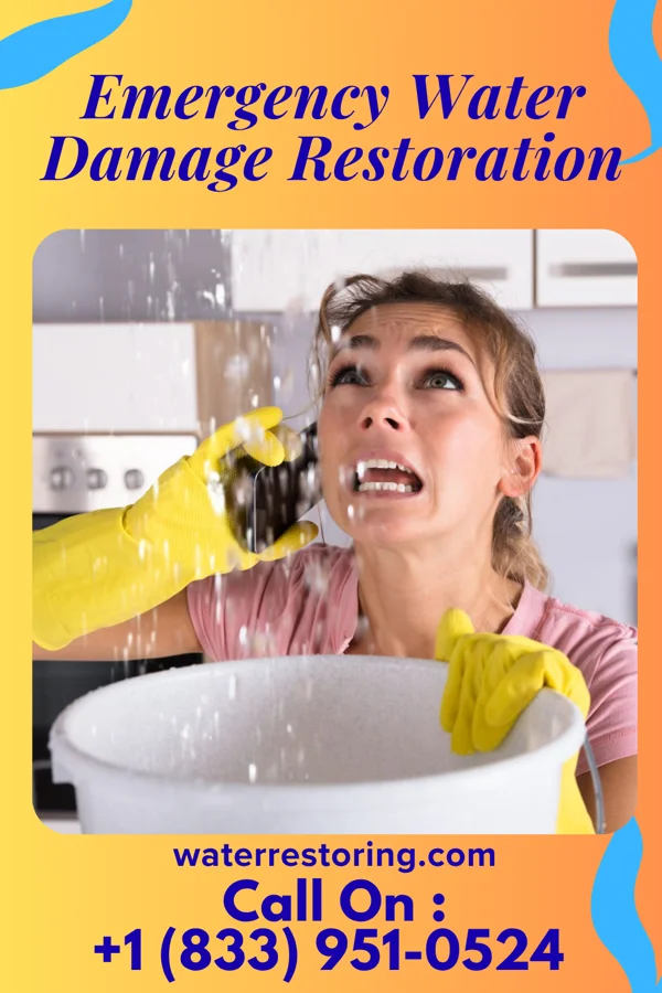 Emergency Water Damage Restoration in Sundance, UT